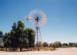 Regans_Ford-1