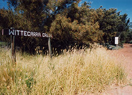 Wittecarra_Creek-1