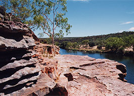 Murchison_River-1