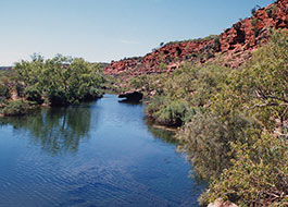 Murchison_River-2