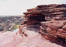 Nature's_Window-1