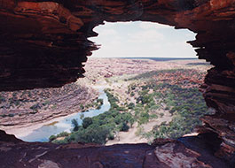 Nature's_Window-3