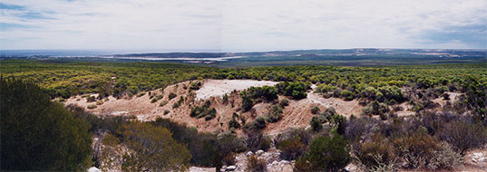 Ross_Graham_Lookout