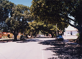 Dongara