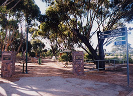 Moora