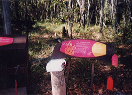 Forest_Heritage_Centre-6