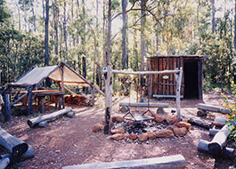 Forest_Heritage_Centre-9
