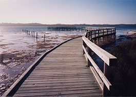Yalgorup_National_Park-2