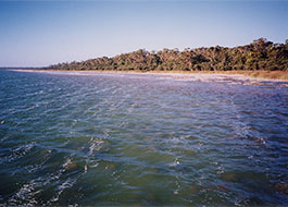 Yalgorup_National_Park-3