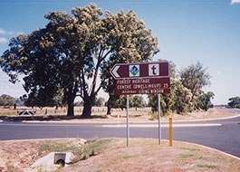 Dandalup-1