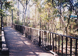 Forest_Heritage_Centre-2