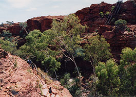 Kings_Creek