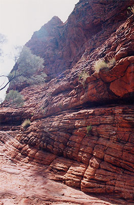 Kings_Creek
