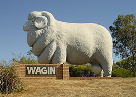 Wagin
