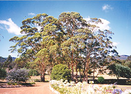 Karribank_Country_Retreat
