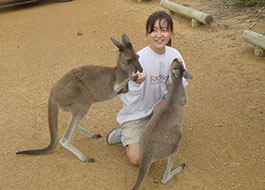 Kangaloo