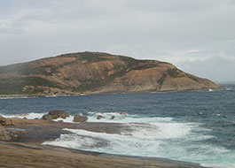 Thistle_Cove