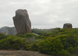 Thistle_Cove