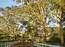 Gateway