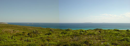 Over_View
