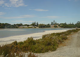 Garden_Lake