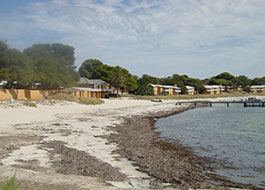Thomson_Bay