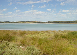 Lake_Baghdad