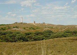 Wadjemup_Hill