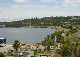 View_from_Bell_Tower_top