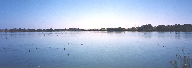 Lake_Monger
