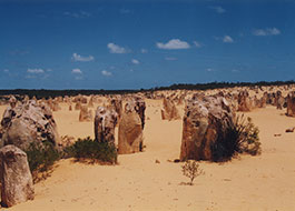 Pinnacles-7