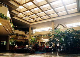 Radisson-4