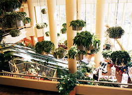 Radisson-5