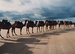 Cable_Beach-1