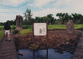 Termite_Mounds-1