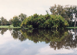 Yellow_Water_River-2