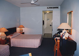 Crocodile_Hotel-2