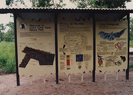 Cutta_Cutta_Cave-1