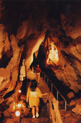 Cutta_Cutta_Cave-2