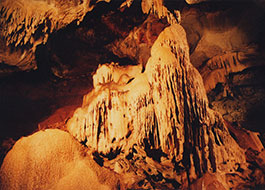 Cutta_Cutta_Cave-4