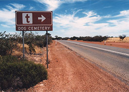 Dog_Cemetery-1