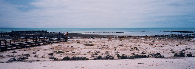 Storomatolites-1