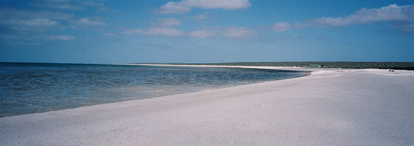 Shell_Beach