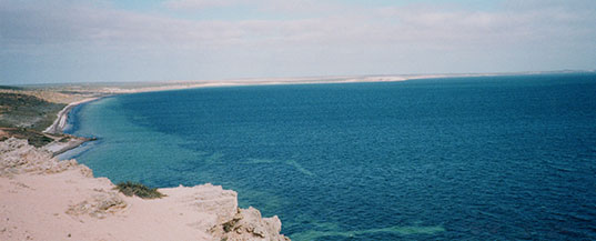 Eagle_Bluff