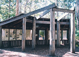 Information_Site