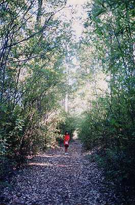 Karri_Varry_Resort-3