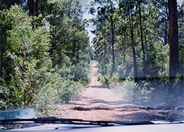 Gravel_Road-1