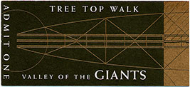 Tree_Top_Walk-2