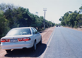 Berry_Farm-1
