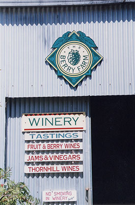 Berry_Farm-2